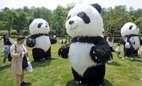 高萌预警丨鹰城首座熊猫主题乐园空降恒大悦珑湾，萌动全城