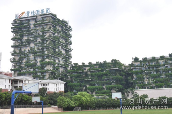 平顶山碧桂园2015故事活动采风圆满结束-平顶的物理教学媒体初中我图片